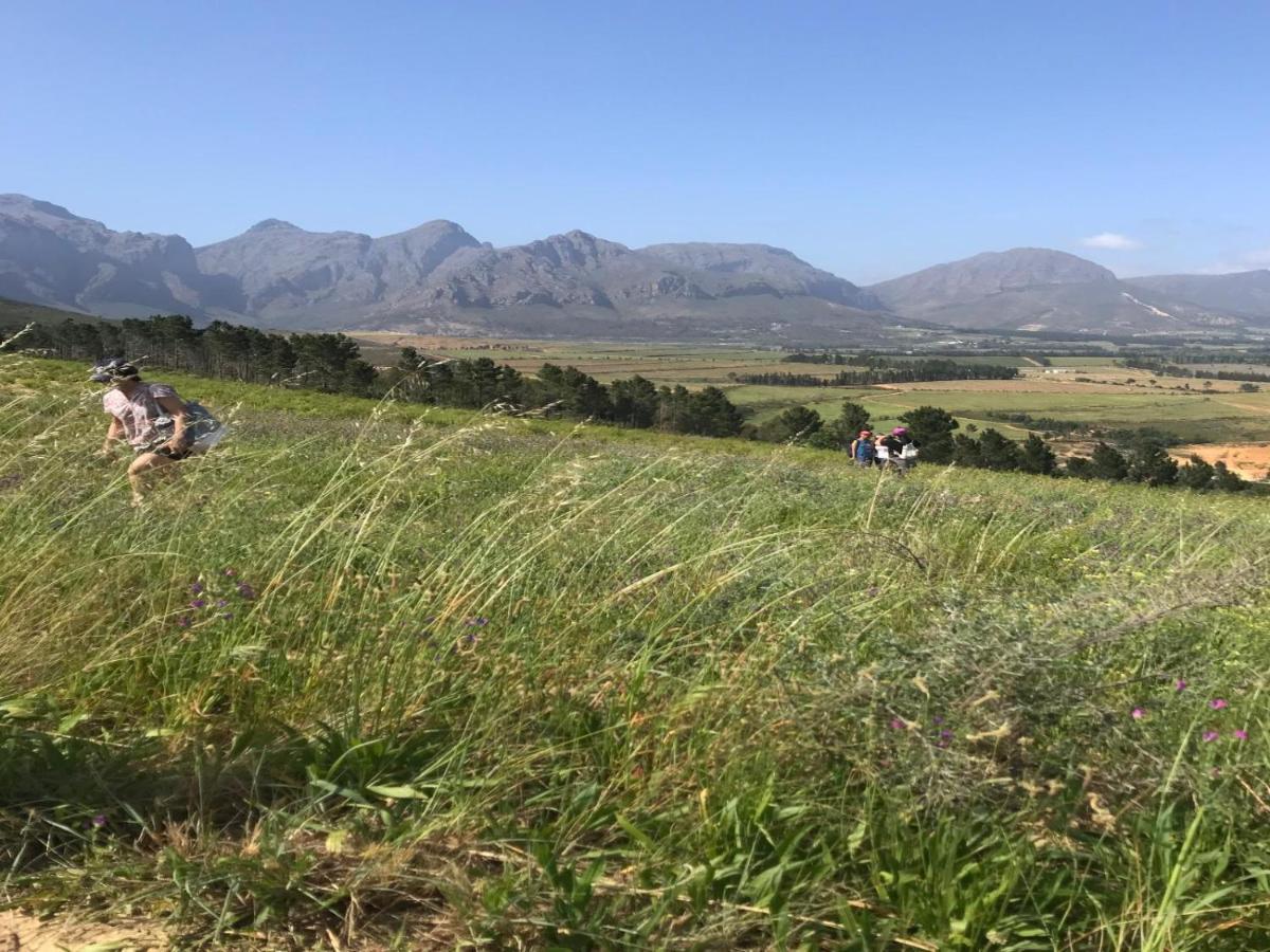 Retreat At Waterfall Valley Paarl Extérieur photo
